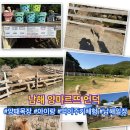 큰언덕목장 | 남해 양마르뜨언덕 양떼목장 먹이 체험 아이랑 방문 후기