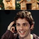 캣츠앤독스 이미지