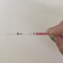 이룸의원 | 임신 기록 / 배란 12일차~21일차 임테기 피검사수치 / 하단 이룸여성의원 배란유도 후기