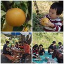 산들농원 이미지