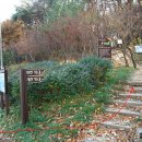 매암산 등산로 이미지