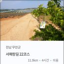 영해 태양광발전소 이미지