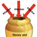 허니팟(honeypot)