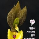 형창 이미지