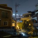 볼노스트