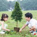 영종하늘도시18호 근린공원 네이버블로그