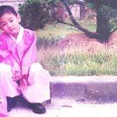 세건 이미지
