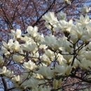 즐거운 가곡 부르기 이미지