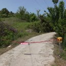 전주이씨 삼효 정려 이미지