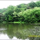 임암길11번길 이미지