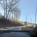 세명사료 | 강릉 동물원 / 아이랑 갈만한 곳 대관령아기동물농장 후기!