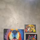 행복하개키울고양 | 서울 애견 카페 행복하개키울고양 방문 후기