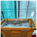 한일익스프레스 이미지