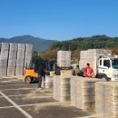 한우1000 이미지