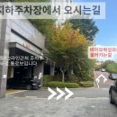 왁싱517