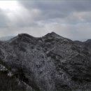 세인장 Daum카페