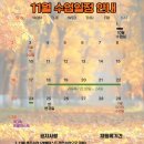 노블스위밍랩 | [김해 어린이 수영장] 노블스위밍랩 김해점 🧡11월 일정표 및 제3회 레벨테스트 예고!🧡