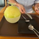 삼성웰스토리(주)코리아벤쳐타운 | 범계 복칼국수 | 충무로 설빙 | 서현 아웃닭 | 서현 일미닭갈비파전 | 판교 벤처타운 웰스토리 구내식당