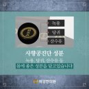 금은조제 이미지