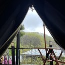 오시유 이미지