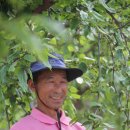 자라진천 이미지