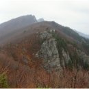 무릉도원 이미지