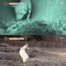 모정농장 이미지