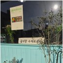 상모로-12 | 학생들 반응 폭발했던 구미단체도시락 꽃피랑 핫도그 세트, 고등학교 단체 주문 후기