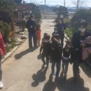 대장나무숲놀이터 이미지