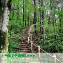 와룡자연휴양림자동차야영장 이미지