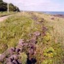 태흥1리 이미지