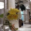 블루호텔 이미지