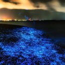 바다(sea)