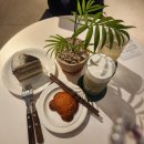 소연농원 - 거창군 진마루길 239-51 | 수원 24시카페 쉼카페 오목천동 애견동반카페