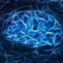 교육심리학 이미지