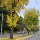 주천농협주유소 이미지