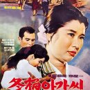 말로(MALO) Daum카페