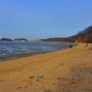 삼향동초등학교 이미지