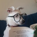 안경의달인 | [진주/상대동] 시원안경 안경사님의 시그니처 피팅기술 진주젠틀몬스터