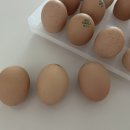 자연알로(서천) 이미지