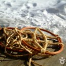 한별마을 이미지