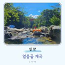 전하공영주차장 화장실 | 부산근교 물놀이 밀양 얼음골 계곡 공영 주차장 화장실 돗자리 텐트 자리