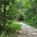 포천파크야영장 이미지