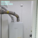 서정라페온 이미지