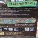 신평동1143 이미지