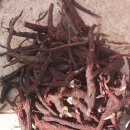 황철미가 이미지