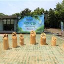 치유의 숲 이미지