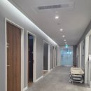 공주사 | 서울 강서 마곡 고하이외과의원 독감주사 3가 접종 후기