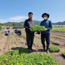 만화마을 전북도민일보