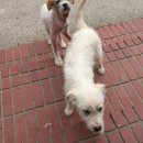 어슬렁stay 네이버블로그